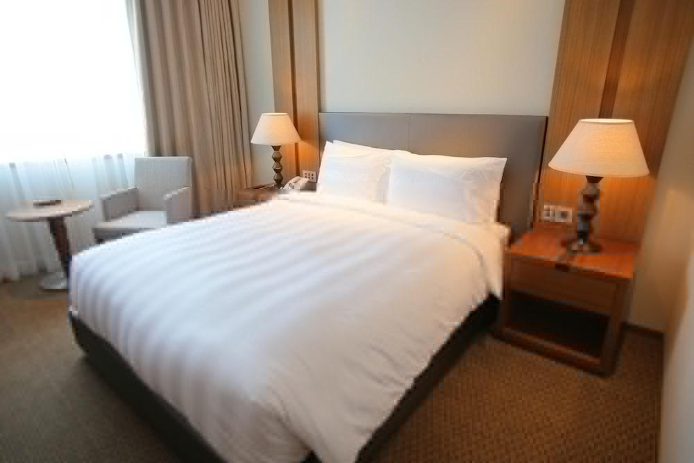 Lotte Guro Hotel